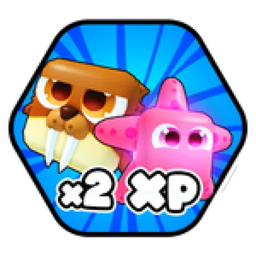 X2 PET XP