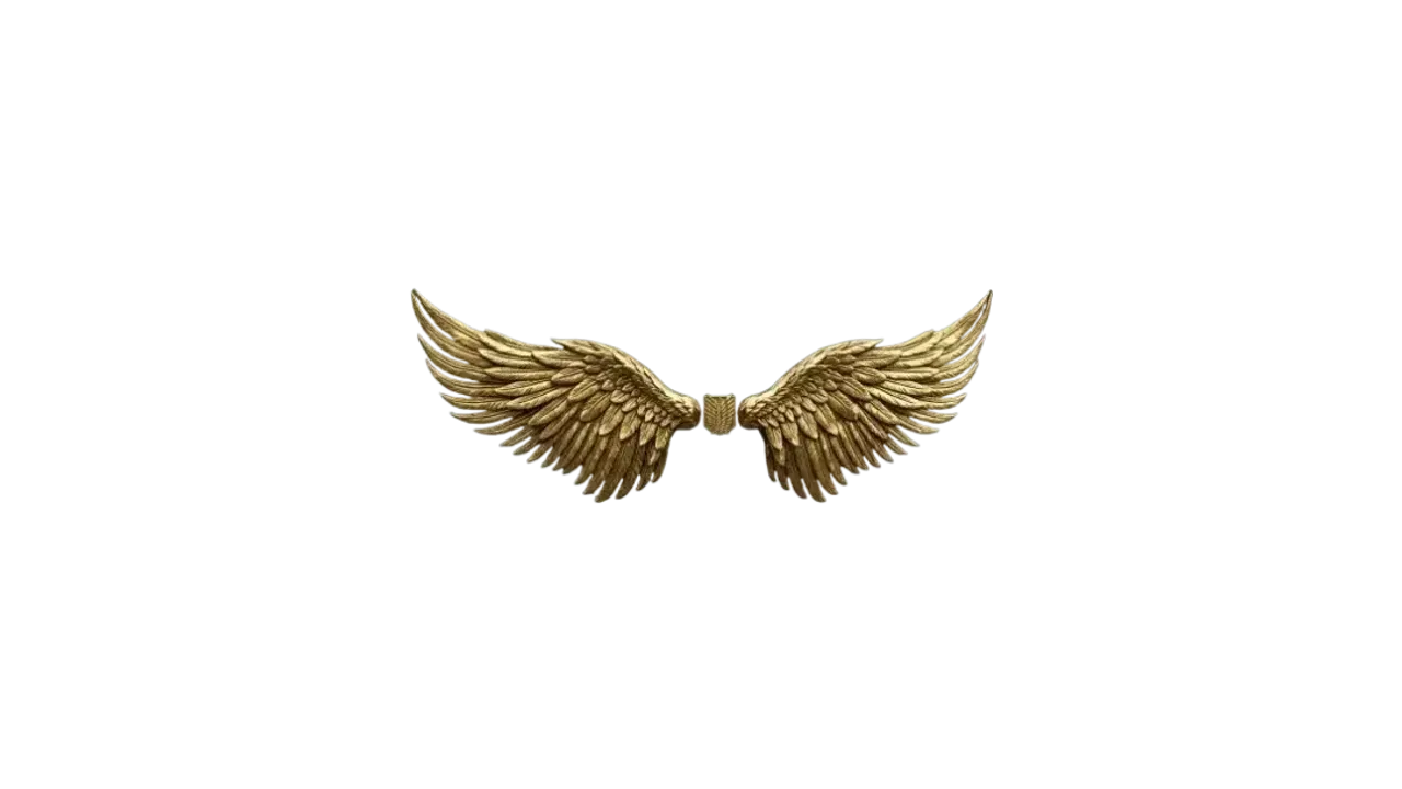 Angel Wings
