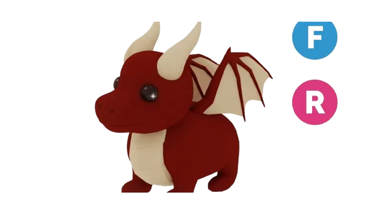 Dragon - F & R