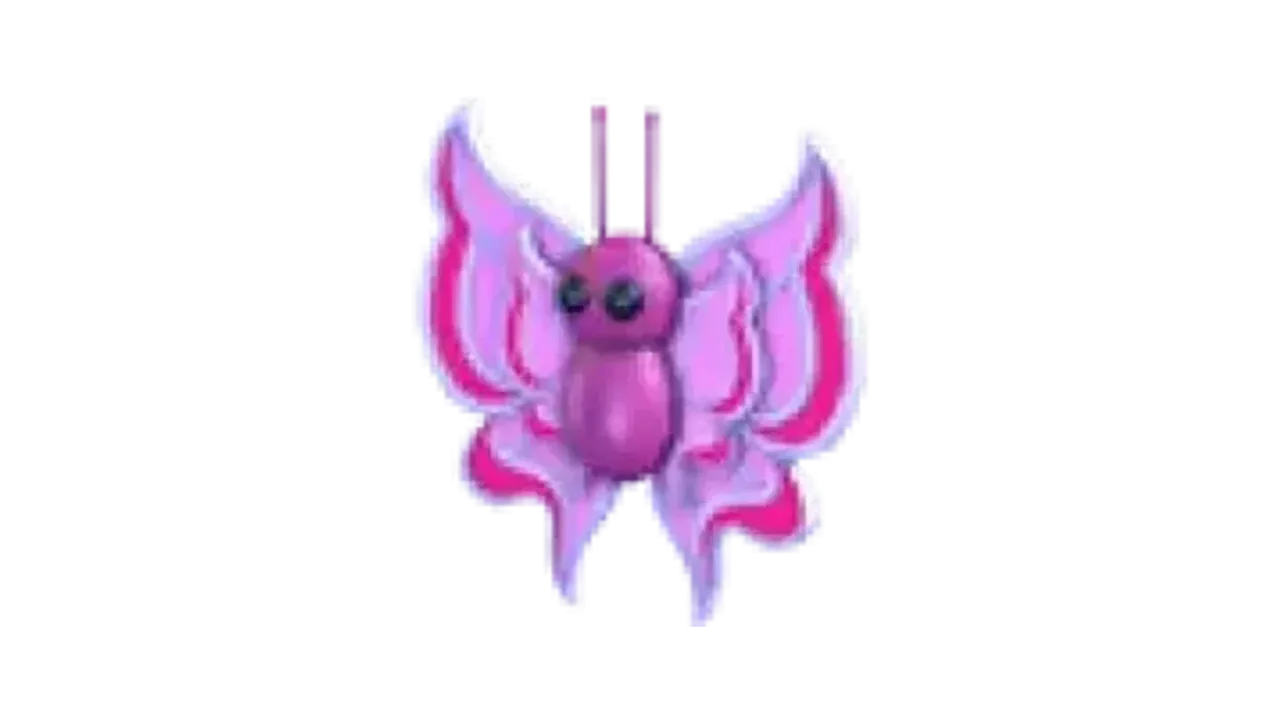 Orchid Butterfly
