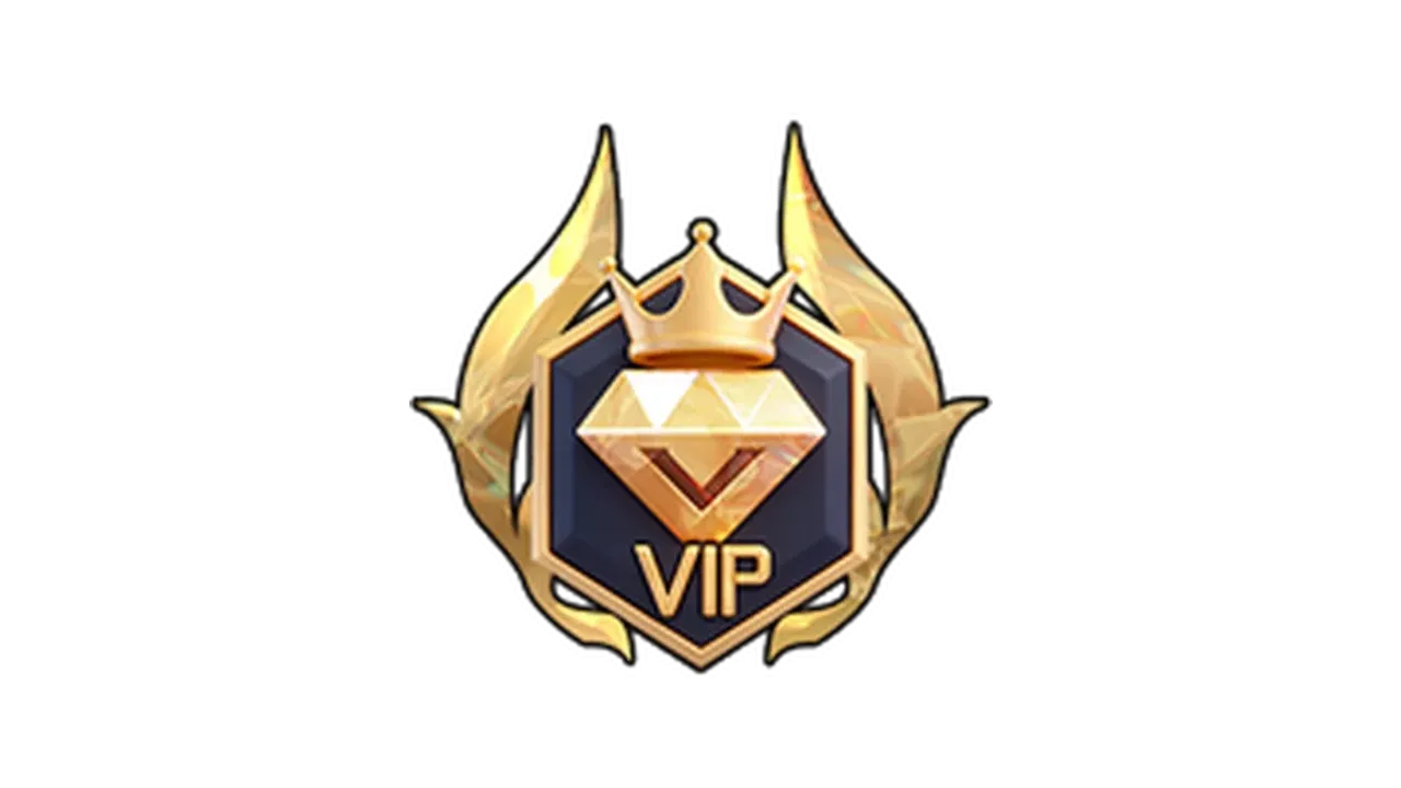 VIP Pass