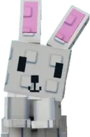 Bunny Pet